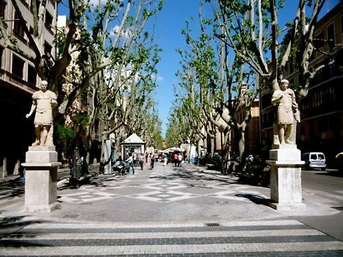 ホテル Rambla Palma Center 0*, パルマ・デ・マリョルカ スペイン